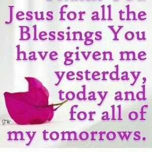 Meet your Posher, Martha